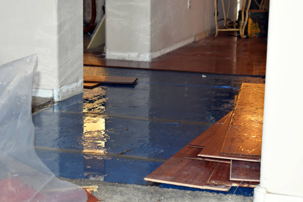 Professional Burst Pipe Cleanup technician working in Bullard, TX